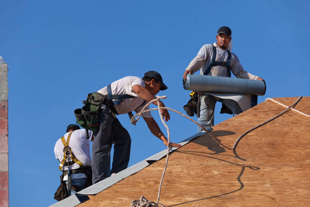 Best Roof Waterproofing Services  in Somerset, NJ